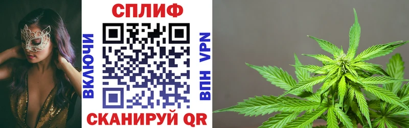 Где купить Березники blacksprut маркетплейс Каннабис МДМА МЕФ Кокаин Alpha-PVP Гашиш