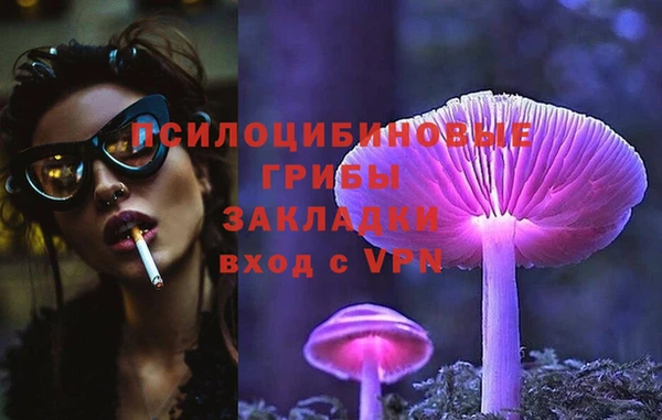 стаф Михайлов