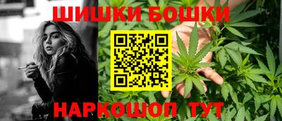 шишки Апшеронск