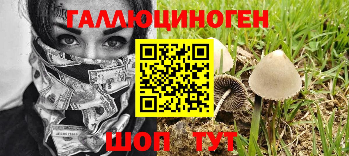 Псилоцибиновые грибы Magic Shrooms Березники